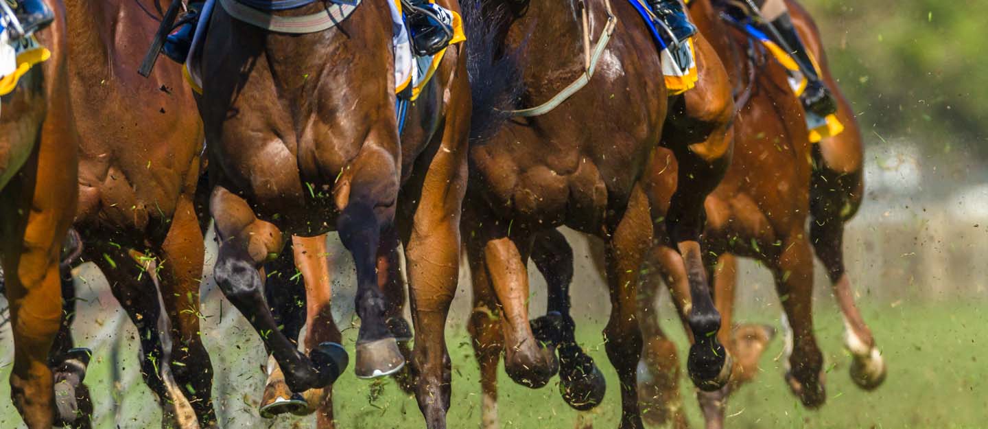 dubai world cup prize money